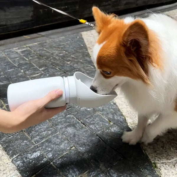 Foldable Dog Bottle